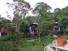 Malaysia, negeri sembilan, rembau, lot 1997 jalan tok nara kampung kundur hulu. Customer Picture Credit To Mr Reef Dee D Bukit Homestay Facebook
