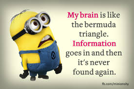 As Powerball Results With Images Funny Minion Quotes Minions Funny Minion Quotes