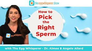 How to pick the right sperm with Angelo Allard