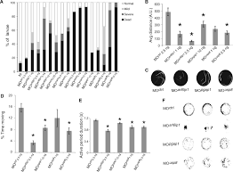 Necompletarea explicită a tuturor câmpurilor conduce la. Exome Sequencing Links Corticospinal Motor Neuron Disease To Common Neurodegenerative Disorders Science