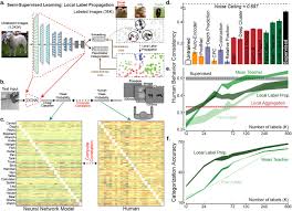 Kbps stands for kilobits per second and the number of kbps represents the audio quality of the mp3s. Unsupervised Neural Network Models Of The Ventral Visual Stream Biorxiv