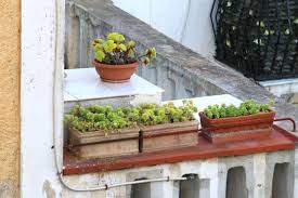 #windows #window boxes #italian #green. Design Sleuth Terra Cotta Window Boxes Gardenista