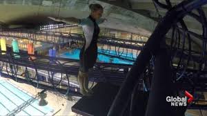 The official website for the olympic and paralympic games tokyo 2020, providing the latest news, event information, games vision, and venue plans. Montreal Woman Hopes To Get Extreme High Diving Into The Olympics Watch News Videos Online