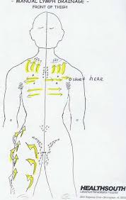 Manual Lymph Drainage Thigh Illustrated Lymph Massage