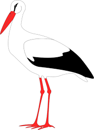 Malvorlage storch malvorlagen ausmalen und storch. Der Wirklich Imposant Aussehende Storch Lasst Sich Storch Vorlage Zum Ausdrucken Holz Clipart Full Size Clipart 1352468 Pinclipart