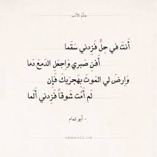 يعتبر هذا الكتاب من أبرز الشروحات لديوان الفرزدق، وهو أحد شعراء المثلث الأموي، ممن طارت شهرتهم في عصرهم وحلقت بهم عبر الزمن إلى يومنا هذا، والفرزدق هو شاعر تميمي. Httpradiomariacanada