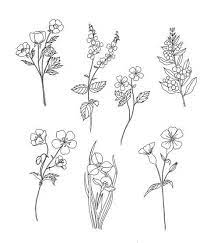 We did not find results for: Pinterest 00lait Pinterest 00lait The Post Pinterest 00lait Appeared First On Diy Flowers Flowers Sketches Flower Sketches Flower Drawing