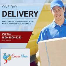 Looking For Fast Reliable Same Day Delivery Service Go For Courier Genie Find Fast And Low Cost Couri Same Day Delivery Service Courier Courier Companies