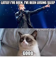 Grumpy Cat Sings Counting Stars By One Republic Grumpy Cat Animal Jokes Cats