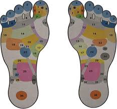 We did not find results for: Body Na Nohe Ktore Su Zodpovedne Za Organy Akupunkturne Body Na Nohe