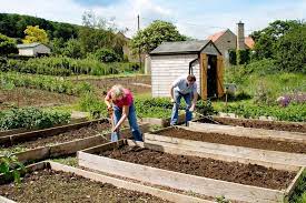 About two years ago i wrote an article with some ideas on how you can recycle some regular household items at your allotment or in your garden. How To Start An Allotment Bbc Gardeners World Magazine
