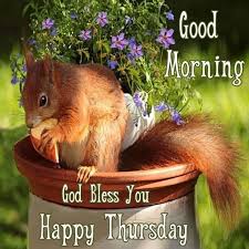 Good Morning God Bless You Happy Thursday Happy Thursday Squirrel Good Morning