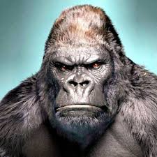 Buzzfeed Buzzfeed In 2020 Gorilla Tattoo Gorillas Art Animal Photography