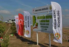 We did not find results for: Gelecege Nefes 11 Milyon Fidan