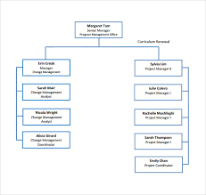 Sample Project Organization Chart 14 Free Documents In