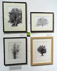 Another year of inktober has come and gone… i always want to participate with a few flower drawings, but there's something about being a mom and running a business that makes it a little tricky. Plantae Sba Annual Exhibition 2019 Selected Artists Botanical Art Artists