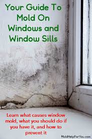 We did not find results for: Your Guide To Mold On Windows And Window Sills Mold Help For You