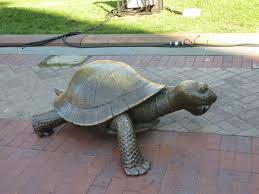 Photo Ops Famous Fictional Characters The Tortoise And The Hare Boston Ma Famous Fictional Characters Tortoise Turtle Love