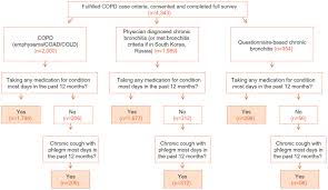 full text continuing to confront copd international patient