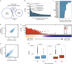 global expression analysis of circular rnas a chart of