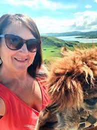 Wild and wonderful wedding at the wild Alpaca way