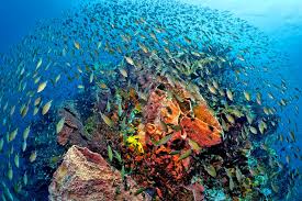 Saint Lucia 2020