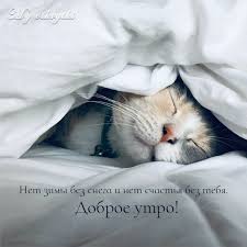 pin na doske s dobrym zimnim utrom