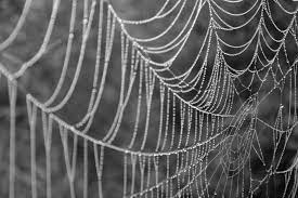 Elements Of Design Line An Element Of Art Defined By A Point Moving In Space Line May Be Two Or Thr Line Photography Elements Of Art Line Shape Photography