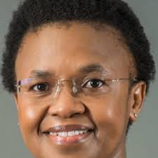 Born 17 february 1951) is a south african politician who is the current minister of public works and infrastructure and leader of the political party good. Phindile Baleni Appointed Director General In The Presidency