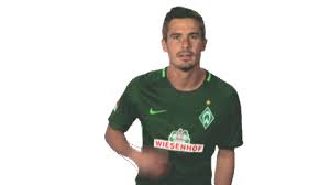With offeo's free logo animation maker, you are able to create and fully customize your very own animated logos that would. Werder Bremen What Sticker By Bundesliga For Ios Android Giphy