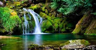 Windows 10 nature landscape wallpaper 14, snow covered mountains and trees. Nature Photos Free Download Wallpaper Fotografii Prirody Pejzazhi Vodopady