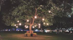 10 Best Solar Garden Lights In Depth Guide Earthava