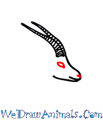 How to draw a dog face for kids. How To Draw A Gazelle