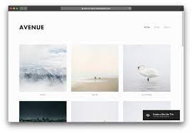 Choose a squarespace template & launch your site today. The Best Squarespace Template For Every Purpose Pro Designer Advice Peach S Referral Programs
