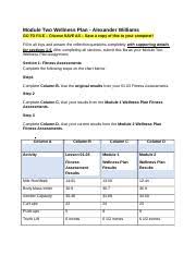 2 08 Module 2 Wellness Plan Docx Module Two Wellness Plan