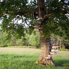 Does your backyard appear dull? Canopystair Is A Spiral Staircase That Straps Around A Tree Trunk