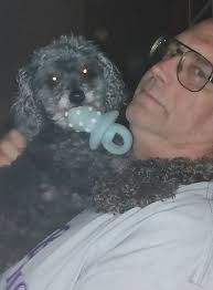 Debbie Howes Birthday and Recovery Wishes