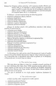 Image result for Asplenium bugoiense