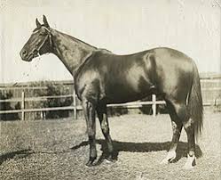 This conflict, known as the space race, saw the emergence of scientific discoveries and new technologies. Melbourne Cup Wikipedia