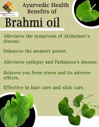 There are no fixed rules for applying brahmi oil. Brahmi Oil Ayurvedic Benefits Ayurvedic Herbs Elderly Care Ayurvedic Oil