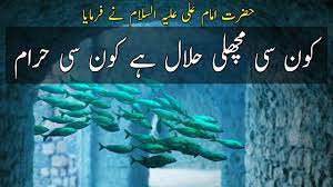 Eat any fish that has scales, and do not eat what does not have scales. (imam baqir a.s). Halal Haram Fish Machli Kyun Halal Hai Machli Halal Kaise Hai Lisaanullah Media Youtube