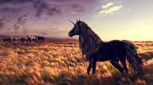 3840x2160 Unicorn 4k Cool Wallpaper For Pc Unicorn Wallpaper Horses Horse Wallpaper