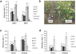 Check spelling or type a new query. Constitutive Expression Of A Novel Antimicrobial Protein Hcm1 Confers Resistance To Both Verticillium And Fusarium Wilts In Cotton Scientific Reports