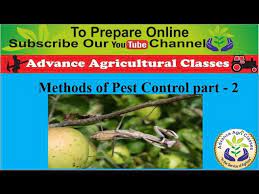 Pest control is a huge category in the horticulture industry. Methods Of Pest Control Part 2 Hindi English Agricultural Field Officer Youtube