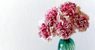 With dearly happy mother's day my love, you can wish the women in your life. 5 Favorite Flowers To Give Mom On Mother S Day Farmers Almanac