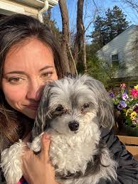 Are black and white Maltipoos rare?