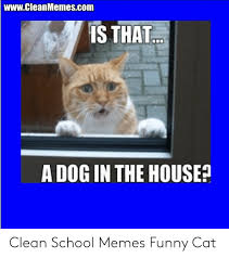 It all started from the project by eric nakagawa and kari unebasami called lolcats. Wwwcleanmemescom Is That A Dog In The House Clean School Memes Funny Cat Funny Meme On Me Me