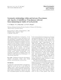 Image result for Afroligusticum claessensii