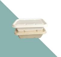 [Hot Item] Natural Plant Fiber Disposable Sugarcane Lunch Bento Box Takeaway Food Tray