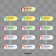 organization chart png vector psd and clipart with